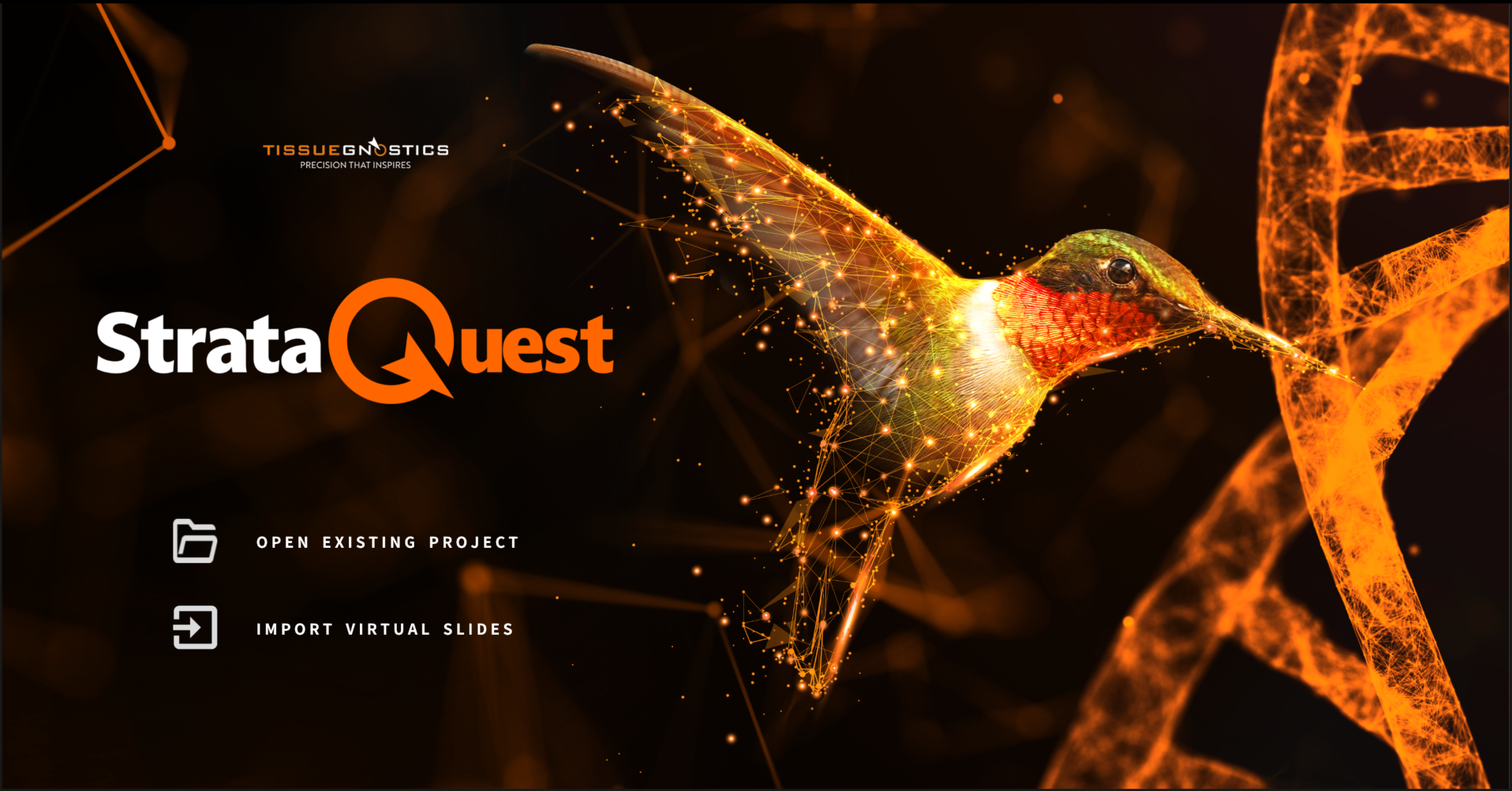 StrataQuest Interface