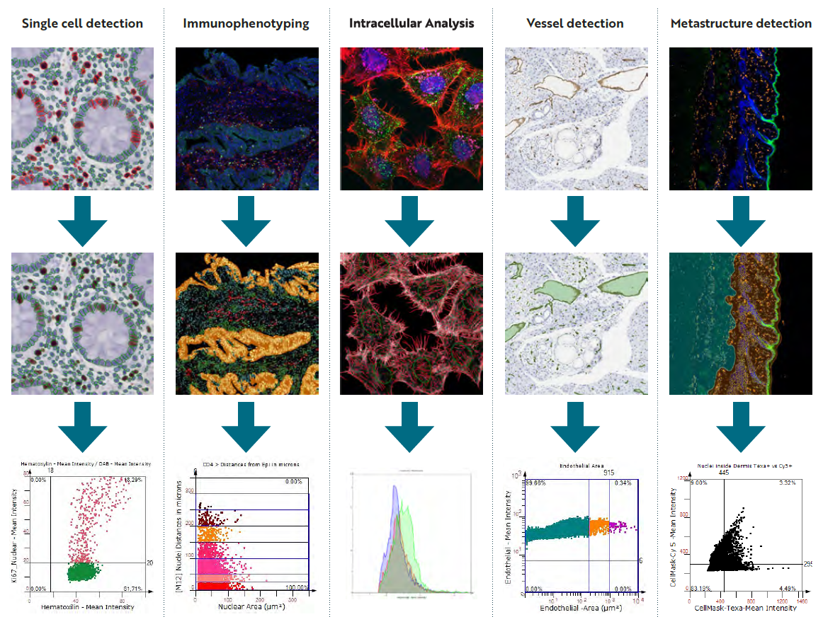 High-resolution Scan